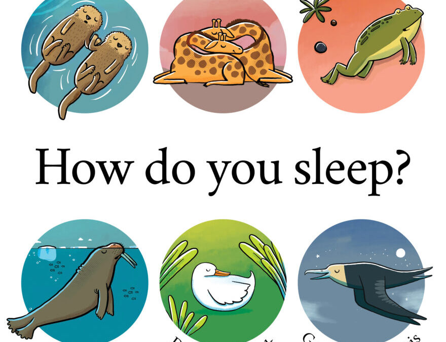How do you sleep?